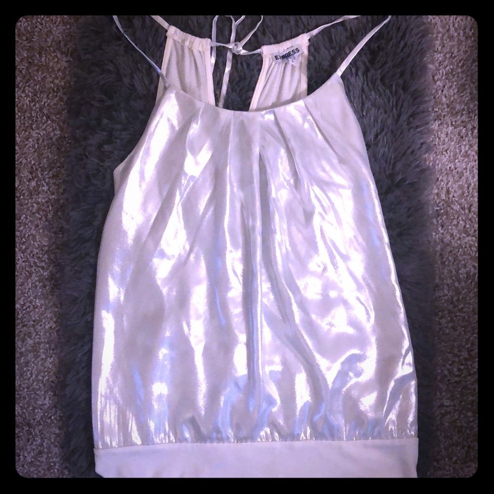 Silver Express Halter